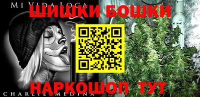 мдпв Беслан