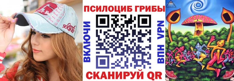 дарнет шоп  Луховицы  Галлюциногенные грибы Cubensis 
