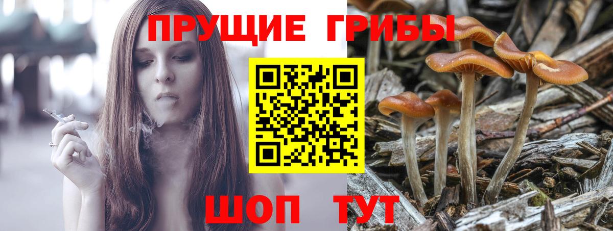 Псилоцибиновые грибы Magic Shrooms Луховицы