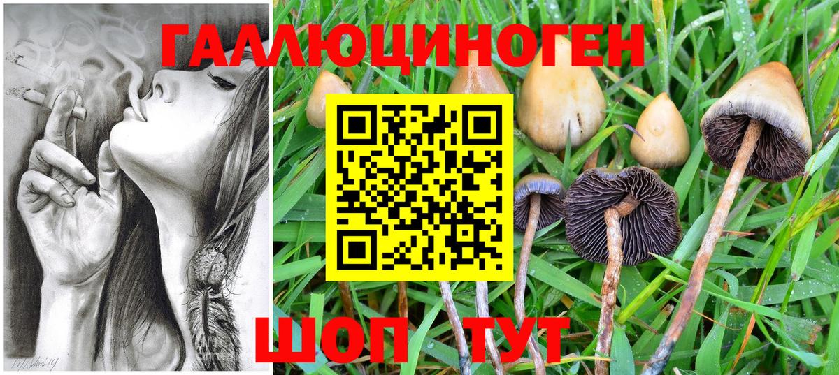 Галлюциногенные грибы прущие грибы  Псилоцибиновые грибы Psilocybe  Луховицы  Вход с VPN 
